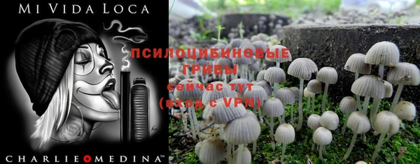 кокаин перу Горняк